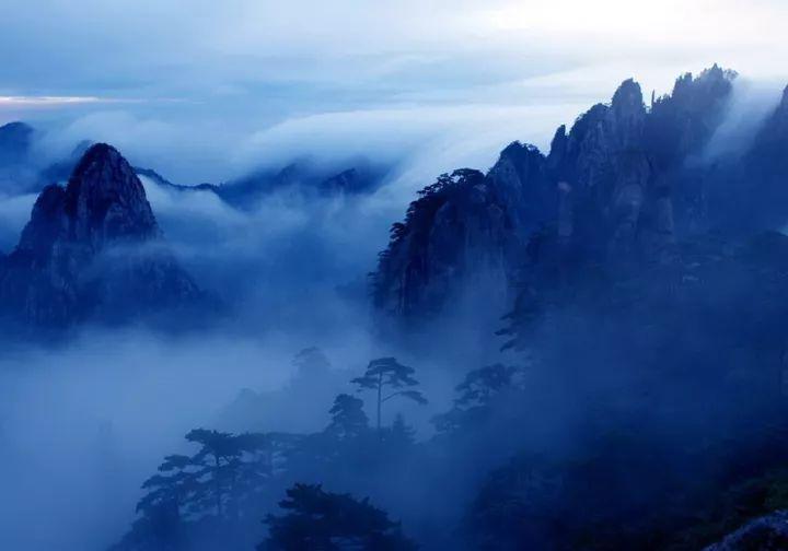 救援怒吼的狮子